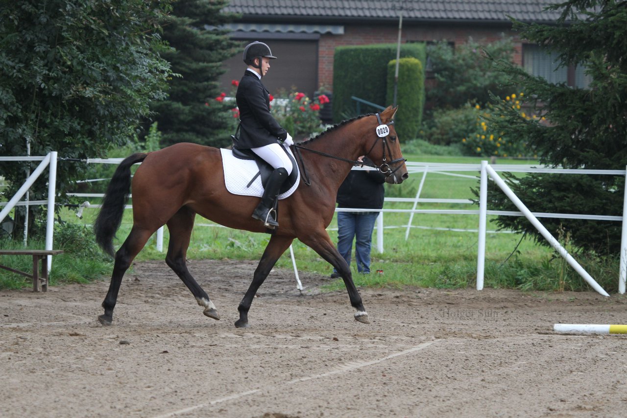 Bild 9 - WBO-Turnier am 18.9.11